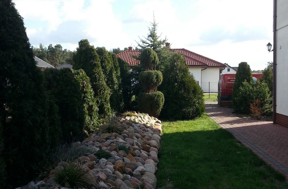 Przesadzanie drzew -Artur Krause