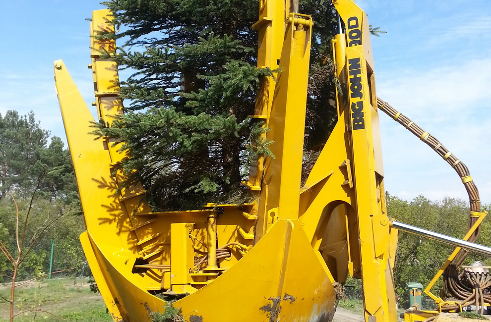 Przesadzanie drzew - Artur Krause