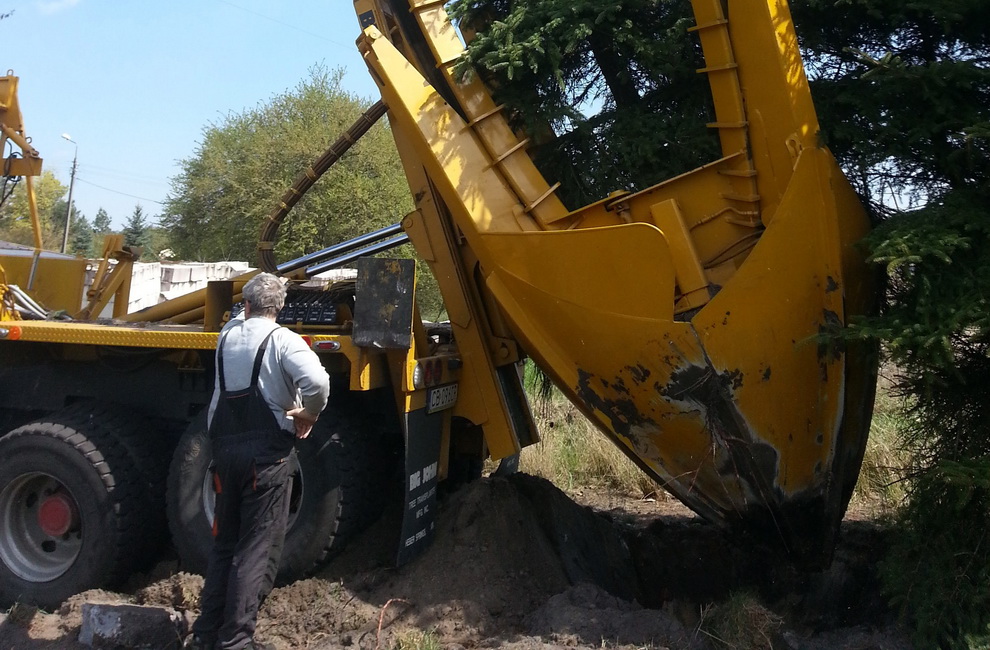 Przesadzanie drzew - Artur Krause