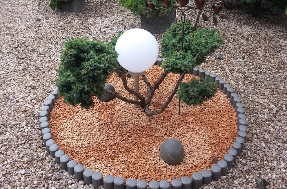 Przesadzanie drzew - Artur Krause