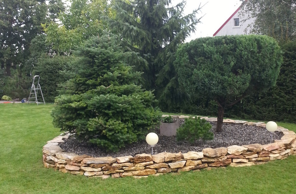 Przesadzanie drzew - Artur Krause