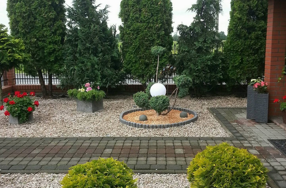 Przesadzanie drzew - Artur Krause