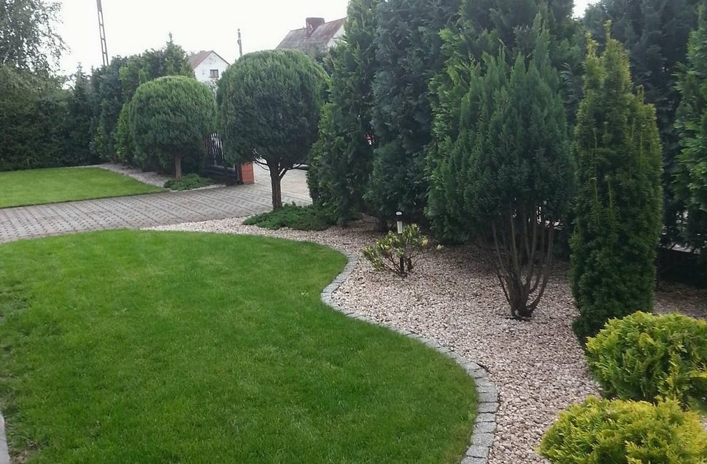 Przesadzanie drzew -Artur Krause