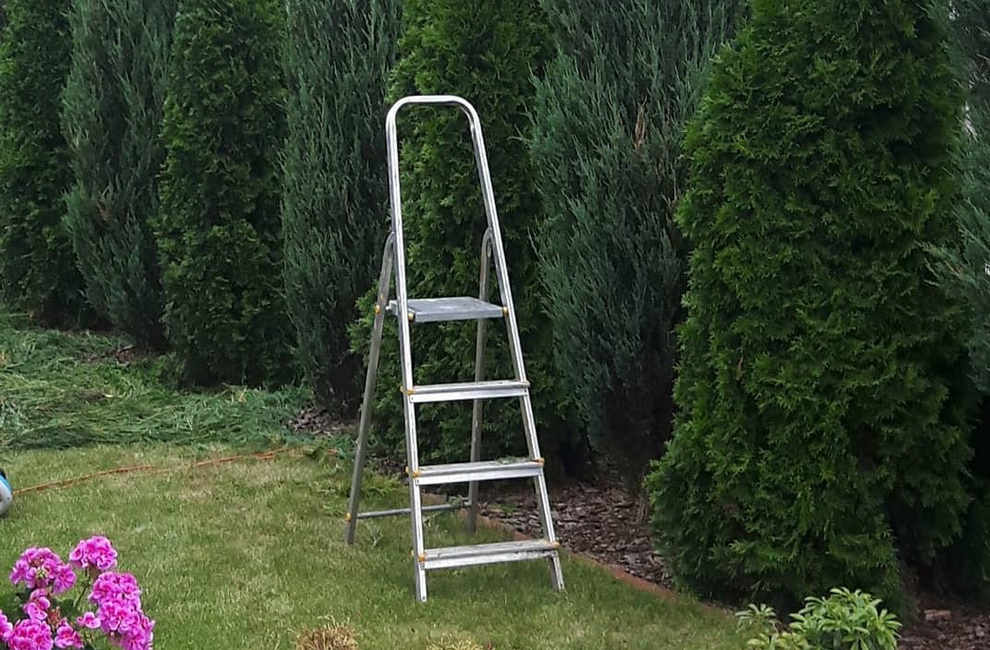 Przesadzanie drzew - Artur Krause