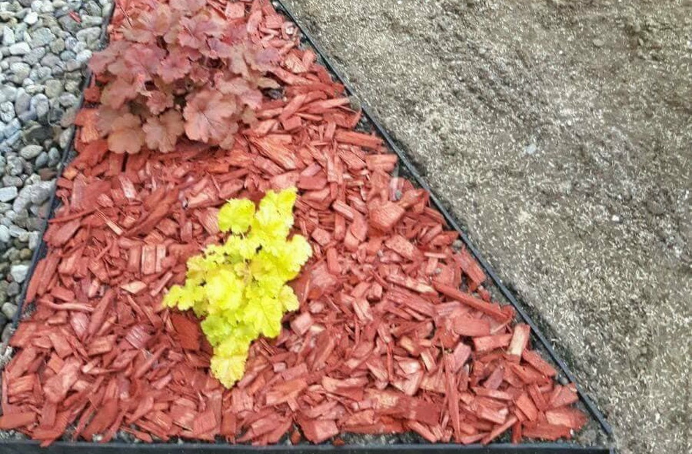 Przesadzanie drzew - Artur Krause