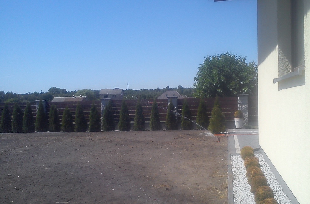 Przesadzanie drzew - Artur Krause