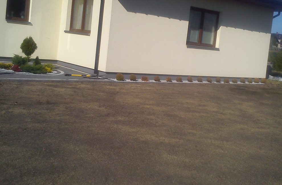 Przesadzanie drzew - Artur Krause