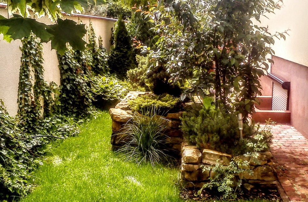 Przesadzanie drzew - Artur Krause