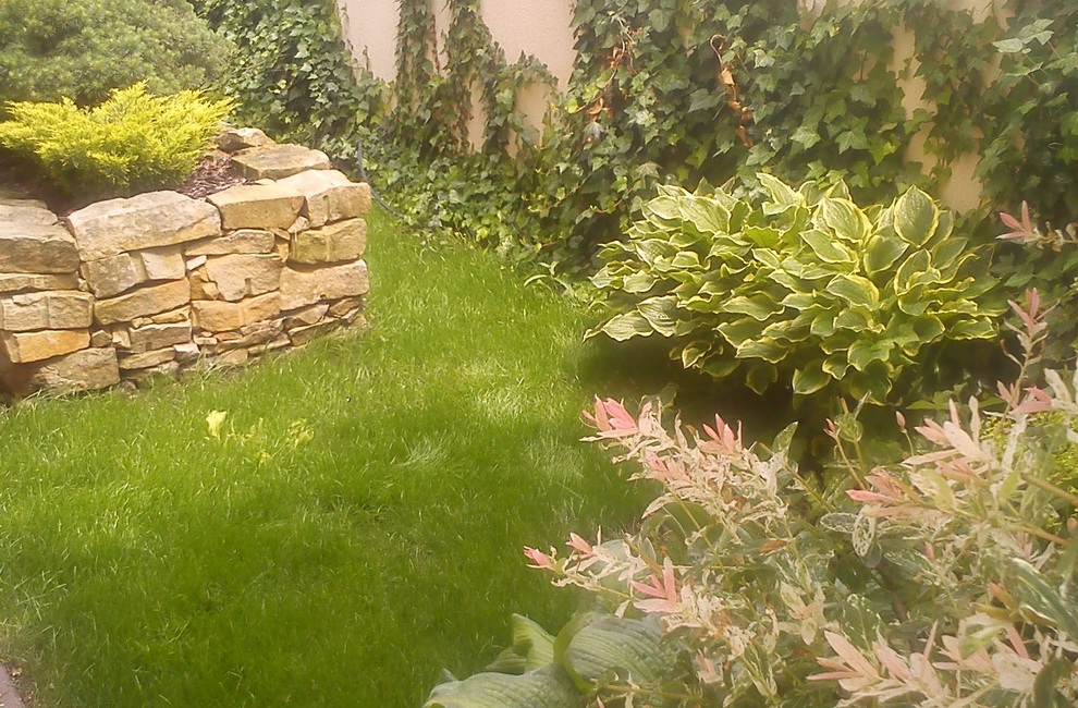 Przesadzanie drzew - Artur Krause