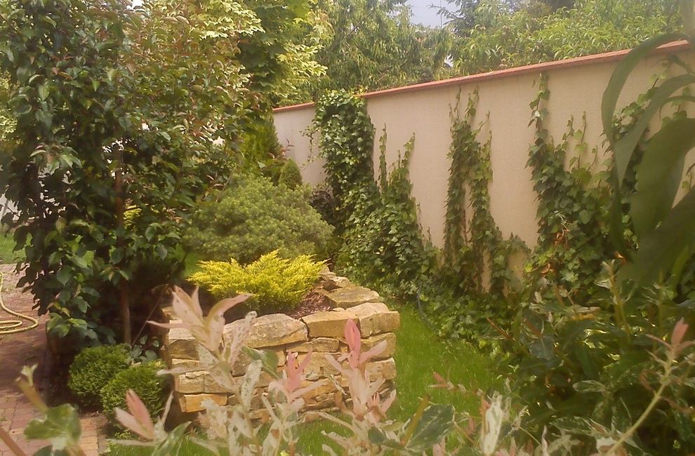 Przesadzanie drzew - Artur Krause