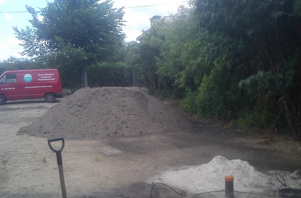 Przesadzanie drzew -Artur Krause