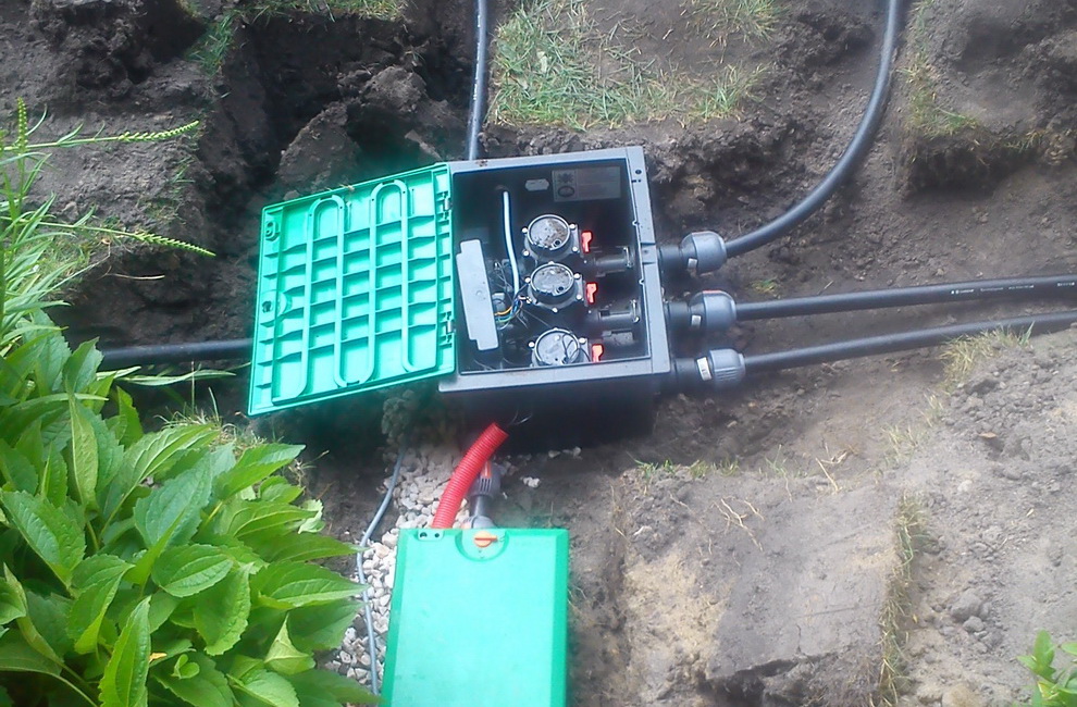 Przesadzanie drzew - Artur Krause