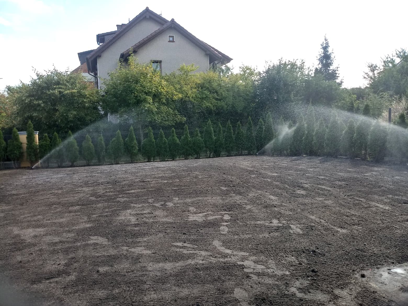 Przesadzanie drzew - Artur Krause